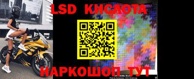 молекула духа Будённовск