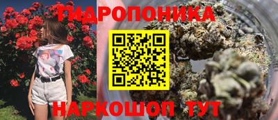молекула духа Будённовск