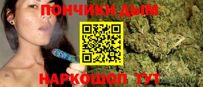 молекула духа Будённовск