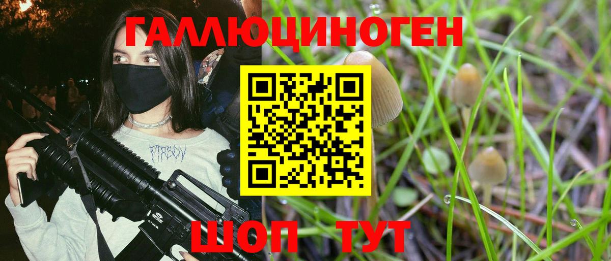 Лосино-Петровский  Псилоцибиновые грибы Psilocybine cubensis  Вход с VPN 