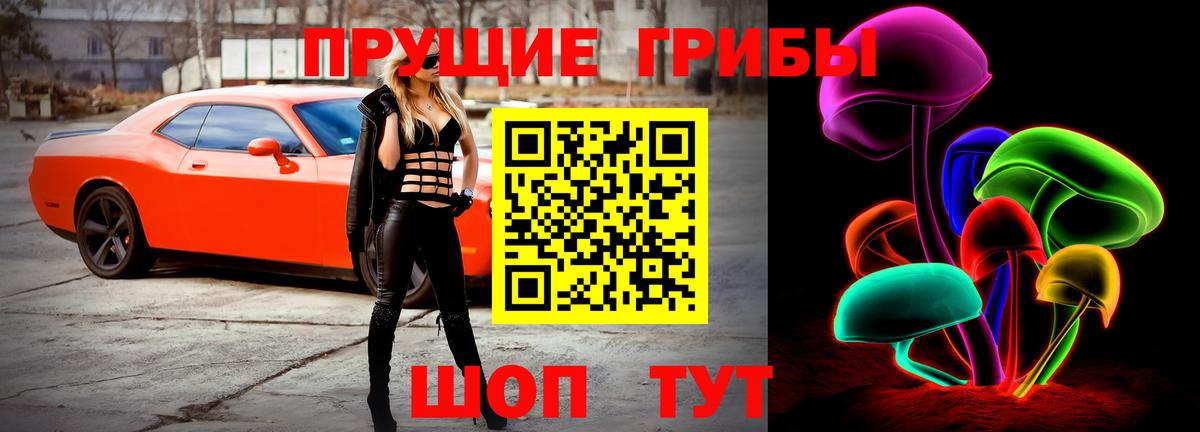 Галлюциногенные грибы Psilocybe Лосино-Петровский