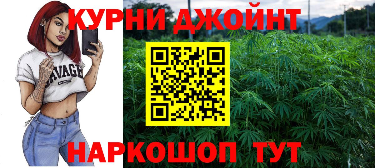 Бошки Шишки гибрид Лосино-Петровский